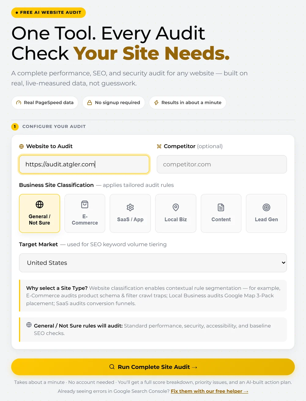Atgler AI Website Audit start screen with a website address entered